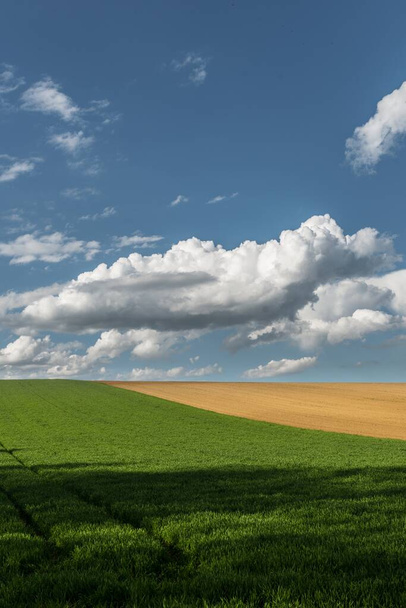 A beautiful landscape of large grasslands and fluffy clouds in the sky - Photo, Image
