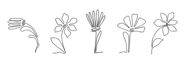 Illustration vectorielle continue de fleurs minces, croquis botanique minimaliste gribouillis. Icône de fleur d'art d'une ligne, dessin simple de contour floral ou logo simple de plante - Vecteur, image