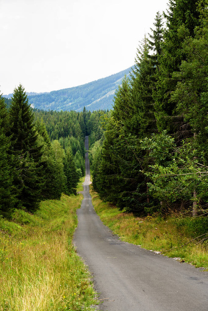 Vue des sentiers de randonnée et du parc national des montagnes Karkonosze (Krkonose) à la frontière polonaise et tchèque. Paysage estival pittoresque avec de belles vues. - Photo, image