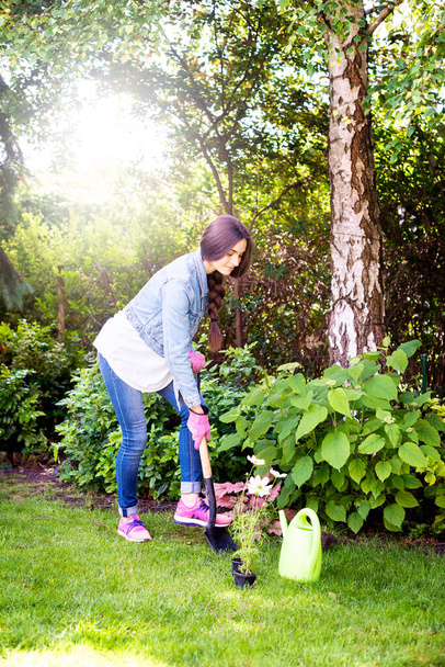  Full length shot of young woman digging the soil in spring with a spade to make the garden ready for planting. - Photo, image