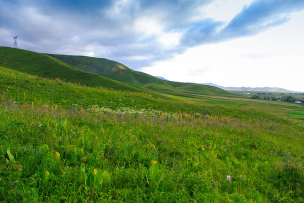Beautiful spring and summer landscape. Lush green hills, high snowy mountains. Spring blooming herbs. - Photo, Image