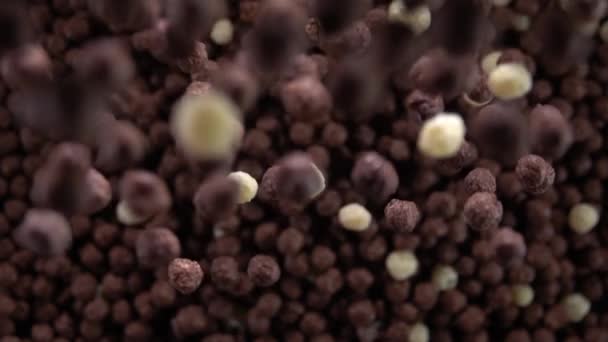 Weizenflocken fallen auf schwarz. Zeitlupe 250 fps - Filmmaterial, Video