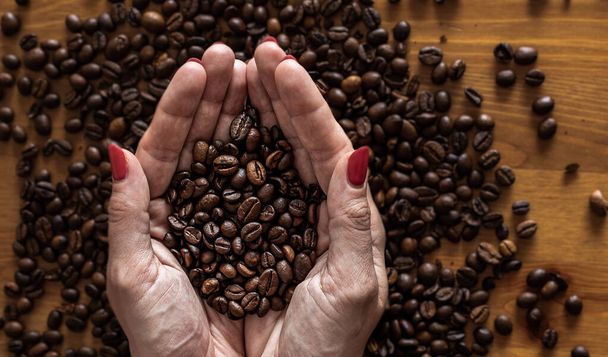コーヒー豆が寝そべっているテーブルの上にコーヒー豆を持っている老婦人の手. - 写真・画像