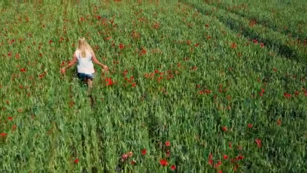 Genç sarışın kadın gelincik tarlasında mutlu bir şekilde yürüyor. Kızıl Çiçek Gelincik Çayırı - Video, Çekim