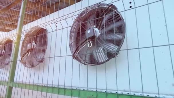 Ventilatore aria condizionata industriale in metallo. HVAC. Raffreddamento commerciale condizionatore d'aria HVAC ventilatori a condensatore batteria regolata climatizzazione e temperatura di refrigerazione sistema di condizionamento AC - Filmati, video