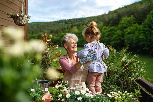 Senior grandmother with small granddaughter gardening on balcony in summer. - Φωτογραφία, εικόνα