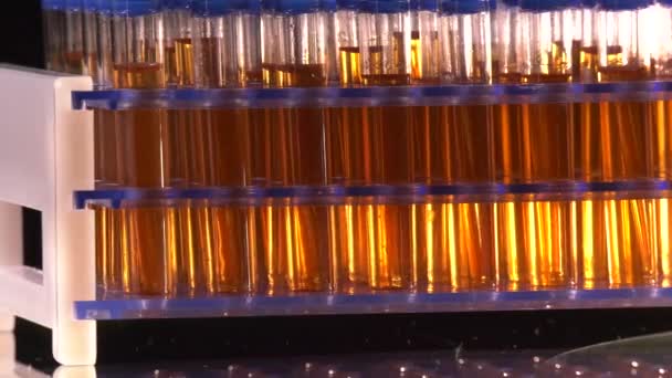 Reagenzgläser mit orangefarbener Flüssigkeit rotieren im medizinischen Labor - Filmmaterial, Video
