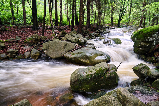 Rocks and boulders in the mountain stream in the forest in the Giant Mountains in Poland - Photo, Image