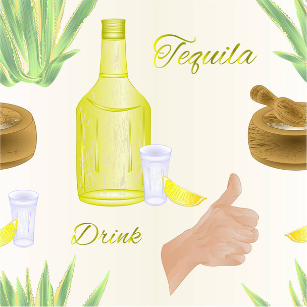 Varrat nélküli textúra üveg tequila só és mész Kaktusz agave és o.k.emberi kéz design elem címke és poszter akvarell vintage vektor szerkeszthető kézzel húzott - Vektor, kép