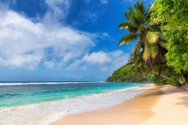 Paradiesischer Strand mit weißem Sand und Kokospalmen. Sommerurlaub und Tropenstrandkonzept. - Foto, Bild