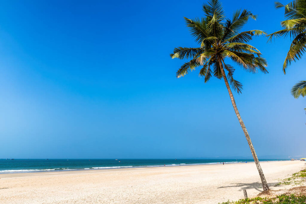 Praia tropical exótica com coqueiros e oceano azul sob céu azul em GOA, Índia
 - Foto, Imagem