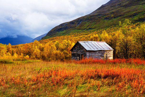 Seasonal summer hut ona clearing in Tamok Valley, Norway on cloudy autumnal day - Foto, Bild