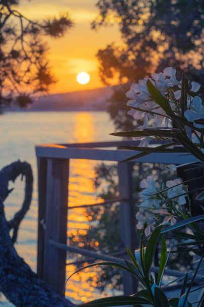 Romantyczny widok na kwitnący nerium oleander na tarasie z widokiem na Adriatyk morze w Chorwacji i piękny zachód słońca w tle. Wakacje, turystyka, podróże, lato i emocje koncepcje - Zdjęcie, obraz