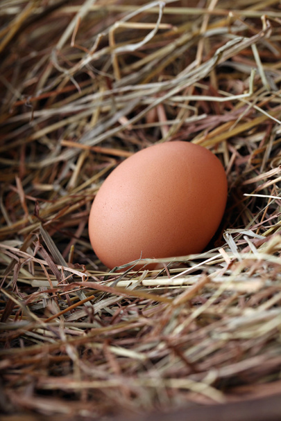 巣の中で新鮮な農場の卵. - 写真・画像