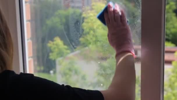Dziewczyna myje okna gąbką z pianką. usługi sprzątania - Materiał filmowy, wideo