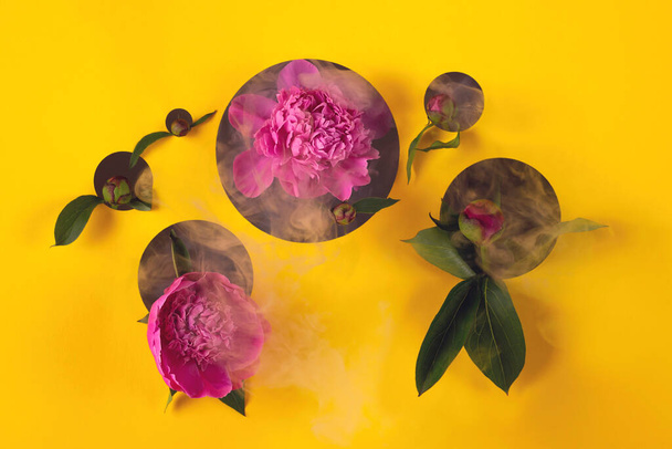 Ροζ καλοκαιρινά παιώνια λουλούδια ξεπροβάλλουν από κύκλους κομμένους σε χαρτί. - Φωτογραφία, εικόνα