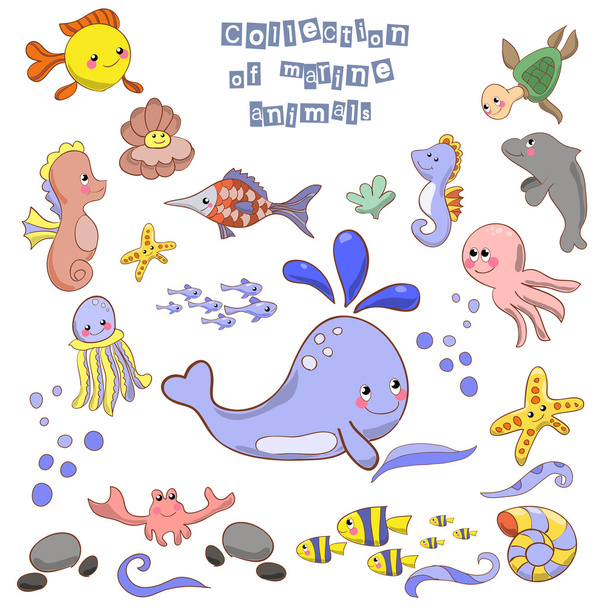 Collection of marine animals and fish. - Вектор,изображение