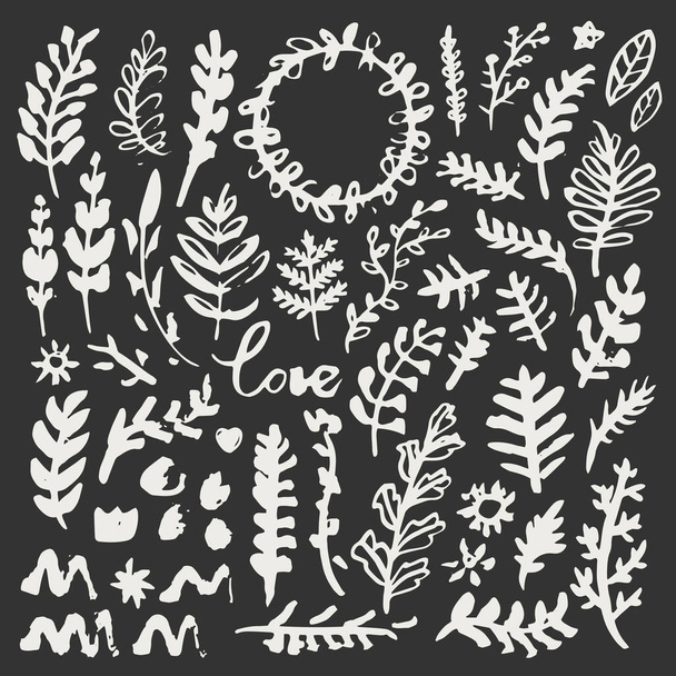 Hand drawn nature elements, great design for any purposes. Vector sketch illustration. Logo element illustration background. Flower background illustration. Icon collection. - Vektor, Bild