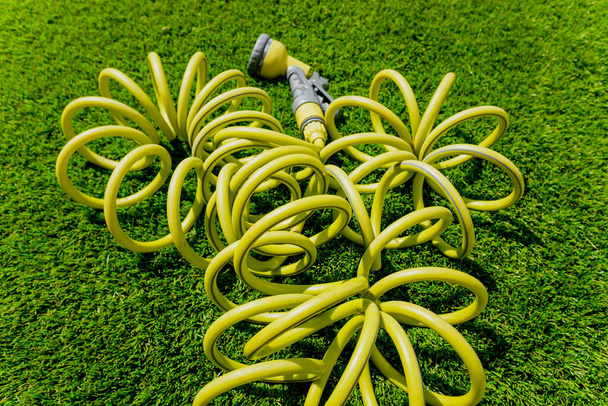 Coiled hose for watering the lawn of a garden. - Photo, Image