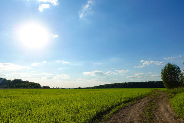 Літній пейзаж з зеленою травою, дорогою і хмарами
 - Фото, зображення