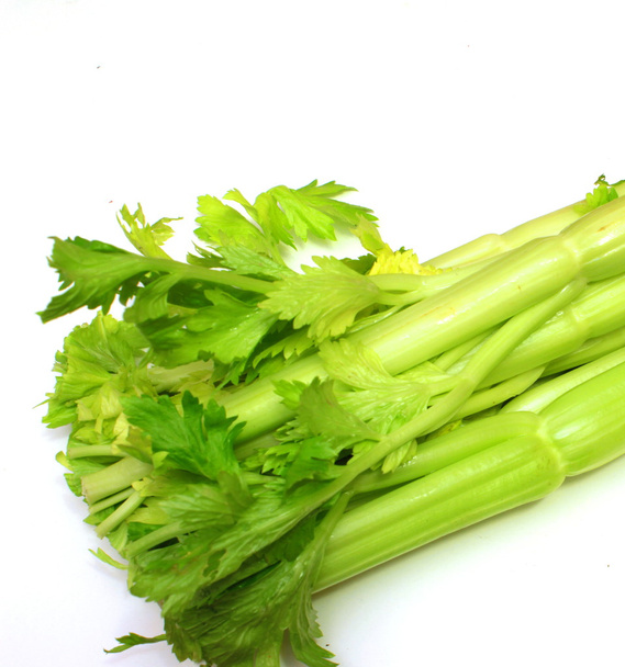 Celery - Photo, Image