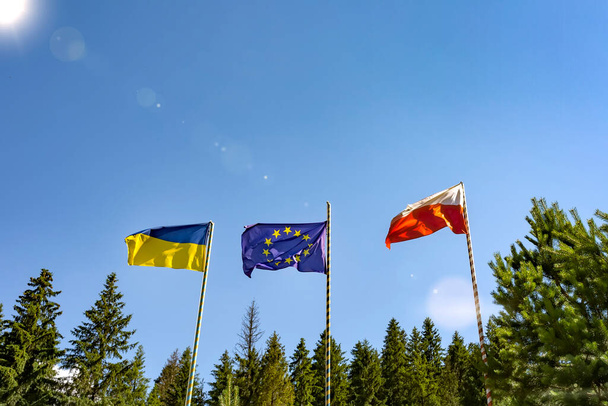Banderas de Ucrania de la Unión Europea y Polonia. Tres banderas en el fondo de un hermoso cielo azul y árboles verdes
. - Foto, Imagen