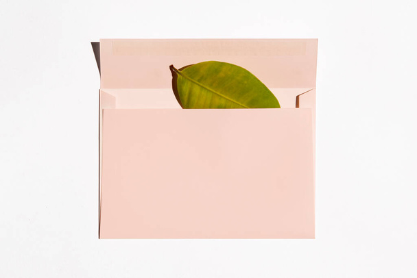 Beyaz arkaplanda yeşil yapraklı pembe zarf - Fotoğraf, Görsel