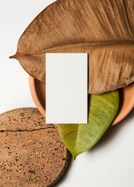 cartão de visita branco em terracota com folhas e cortiça sobre fundo branco
 - Foto, Imagem