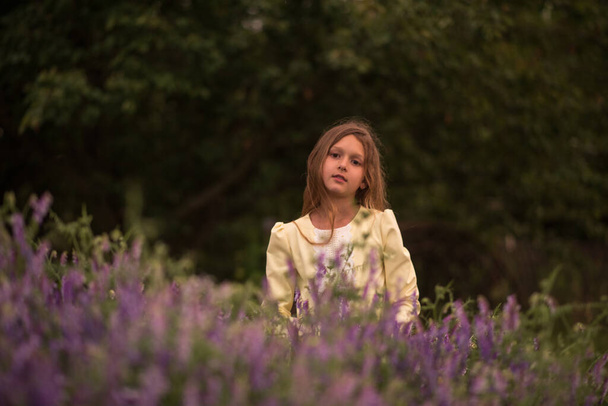 Krásná dívka při západu slunce na poli s fialovými květy. Levandule. Dítě chodí a cestuje. Odpočinek a hry. Dlouhosrstá dívka - Fotografie, Obrázek