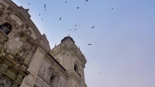 Lima Katedrali, Lima Şehri, Peru 'daki çan kulesinde kuşlar uçuşuyor. - Video, Çekim