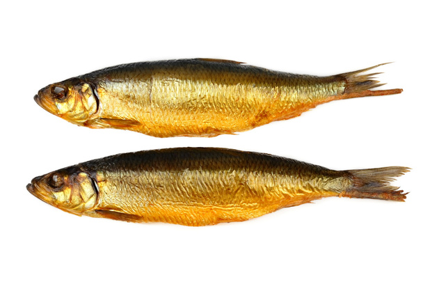 iki çiroz, beyaz arka plan üzerinde füme ringa balığı - Fotoğraf, Görsel