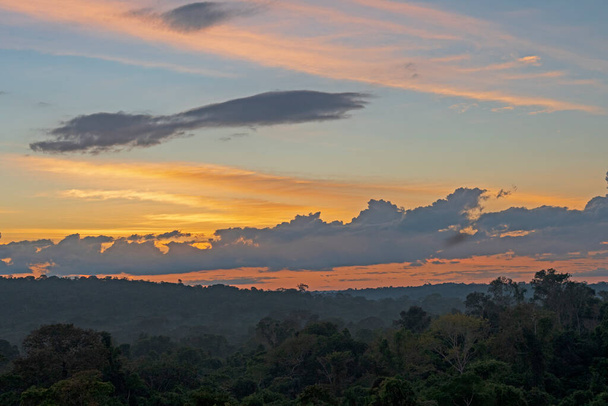 Luz da manhã cedo sobre a floresta amazônica perto de Alta Floresta, Brasil
 - Foto, Imagem