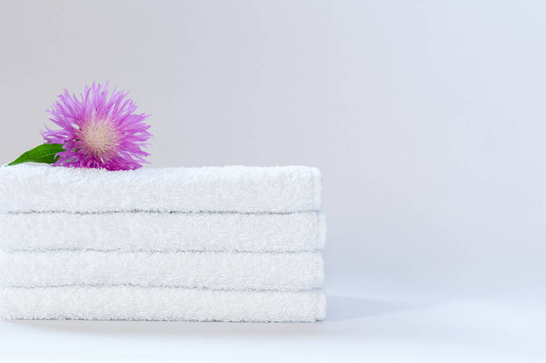 Cuatro toallas de rizo blancas cuidadosamente dobladas con una flor de aciano rosa sobre un fondo claro
 - Foto, imagen