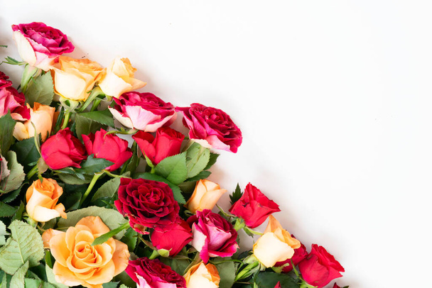 orange and red roses - Фото, изображение