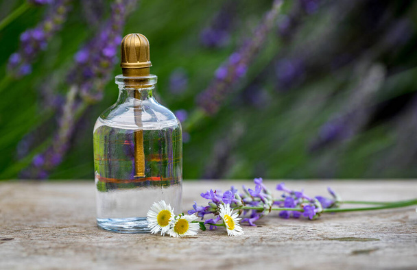 Aromatherapy essential oils in bottle with flowers on rustic wooden background. Perfumery, cosmetics, fragrance collection. - Photo, Image
