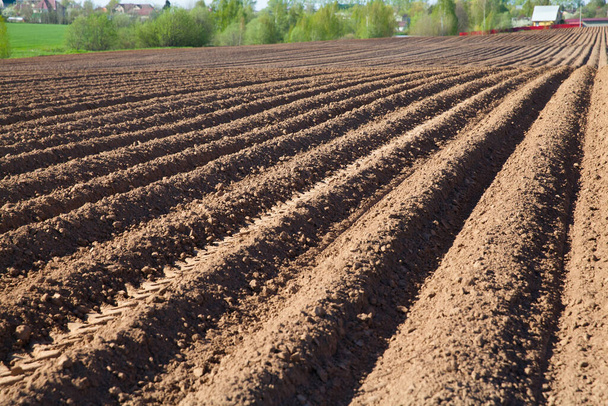 Colours of spring - ploughed field ready to sow. Agricultural fields in Russia. - Φωτογραφία, εικόνα