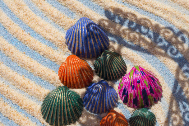 Natura morta di conchiglie colorate sulla sabbia della spiaggia. - Foto, immagini