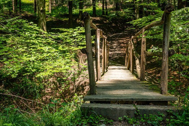 Nice idyllic old bridge in a fairytale forest - Photo, Image