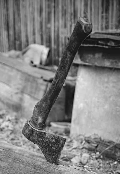 An ax with a wooden handle stuck in a lying log - Фото, зображення