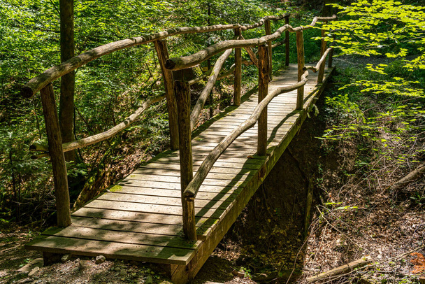 Ωραία ειδυλλιακή παλιά γέφυρα σε ένα παραμυθένιο δάσος - Φωτογραφία, εικόνα