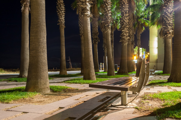 Bench in the night - Photo, Image