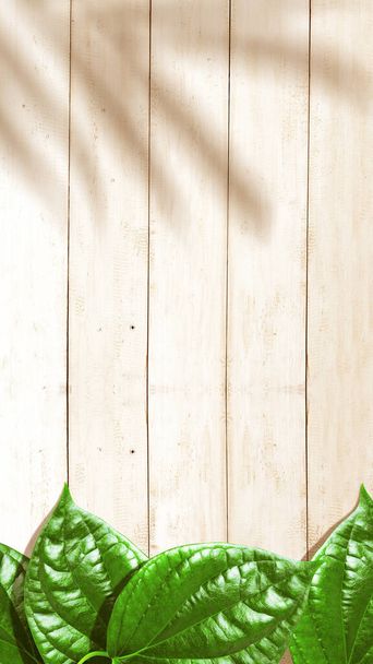 Tropical leaves on wooden table background. Stories template - Foto, immagini