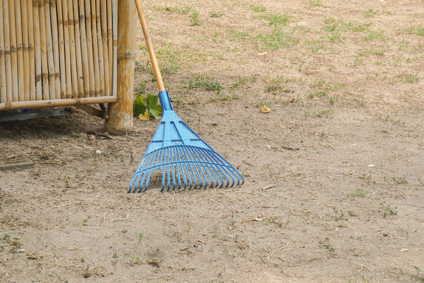 голубые грабли для сухих листьев и мусора в домашнем саду
 - Фото, изображение