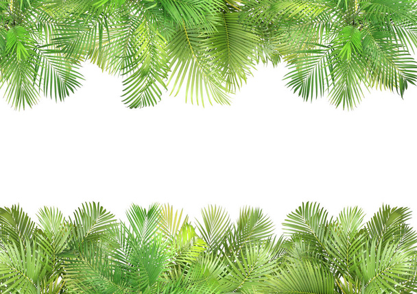 top view palm leaves tree for summer background - Photo, Image