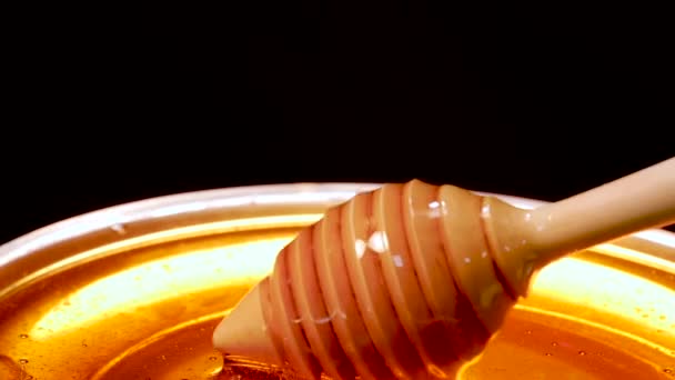 Houten lepel die honing verzamelt uit een transparante schaal op een zwarte achtergrond. Selectieve focus - Video