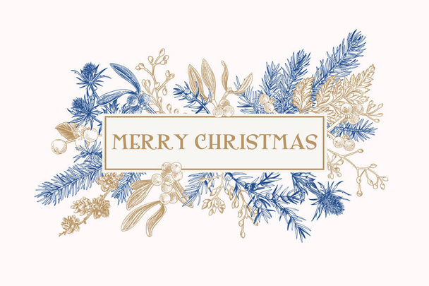 Christmas frame with winter plants. Botanical illustration. Composition with spruce, eucalyptus seeds, fern, juniper, mistletoe, larch cones, bluehead. Vector holiday card. Blue and gold. - Vektor, Bild