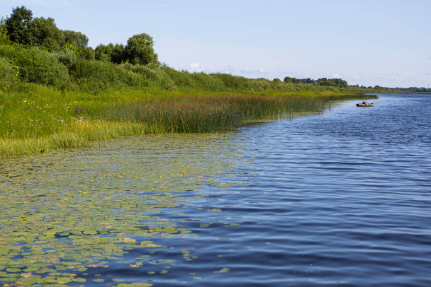 Bosmeer met waterlelies en boot- en voetgangersbrug - Foto, afbeelding