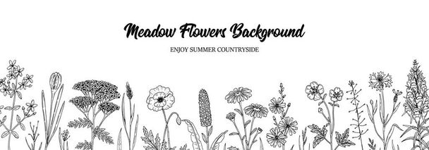Horizontal flores selvagens fundo vintage. Design de verão herbal desenhado à mão no estilo esboço. Ilustração vetorial
 - Vetor, Imagem