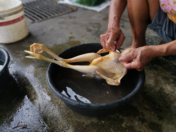 調理する前に生の屠殺鶏を洗って - 写真・画像