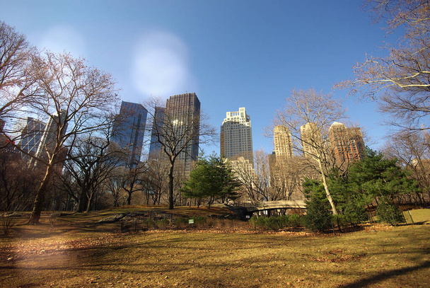 Valkleuren in Central Park in New York, Verenigde Staten - Foto, afbeelding